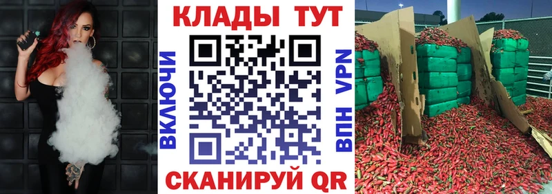 ГАШ Заринск