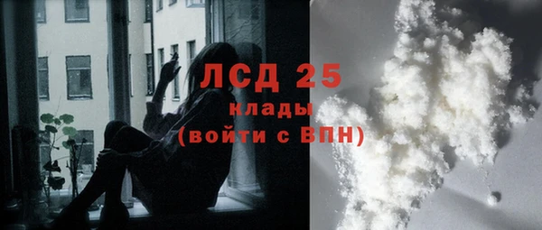 2c-b Инта