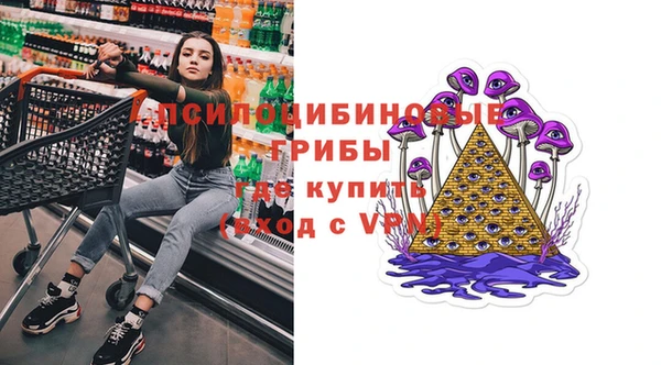 соль ск Иннополис