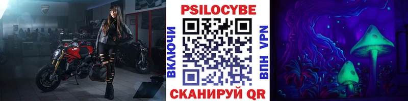 mega рабочий сайт  Заринск  Галлюциногенные грибы Psilocybe 